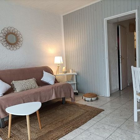 Charmant Appartement Bord De Mer Argelès-sur-Mer Zewnętrze zdjęcie