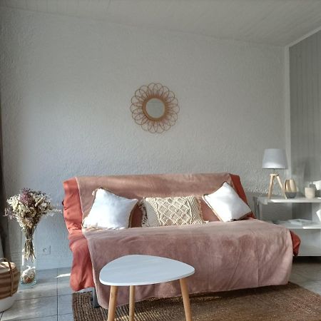 Charmant Appartement Bord De Mer Argelès-sur-Mer Zewnętrze zdjęcie